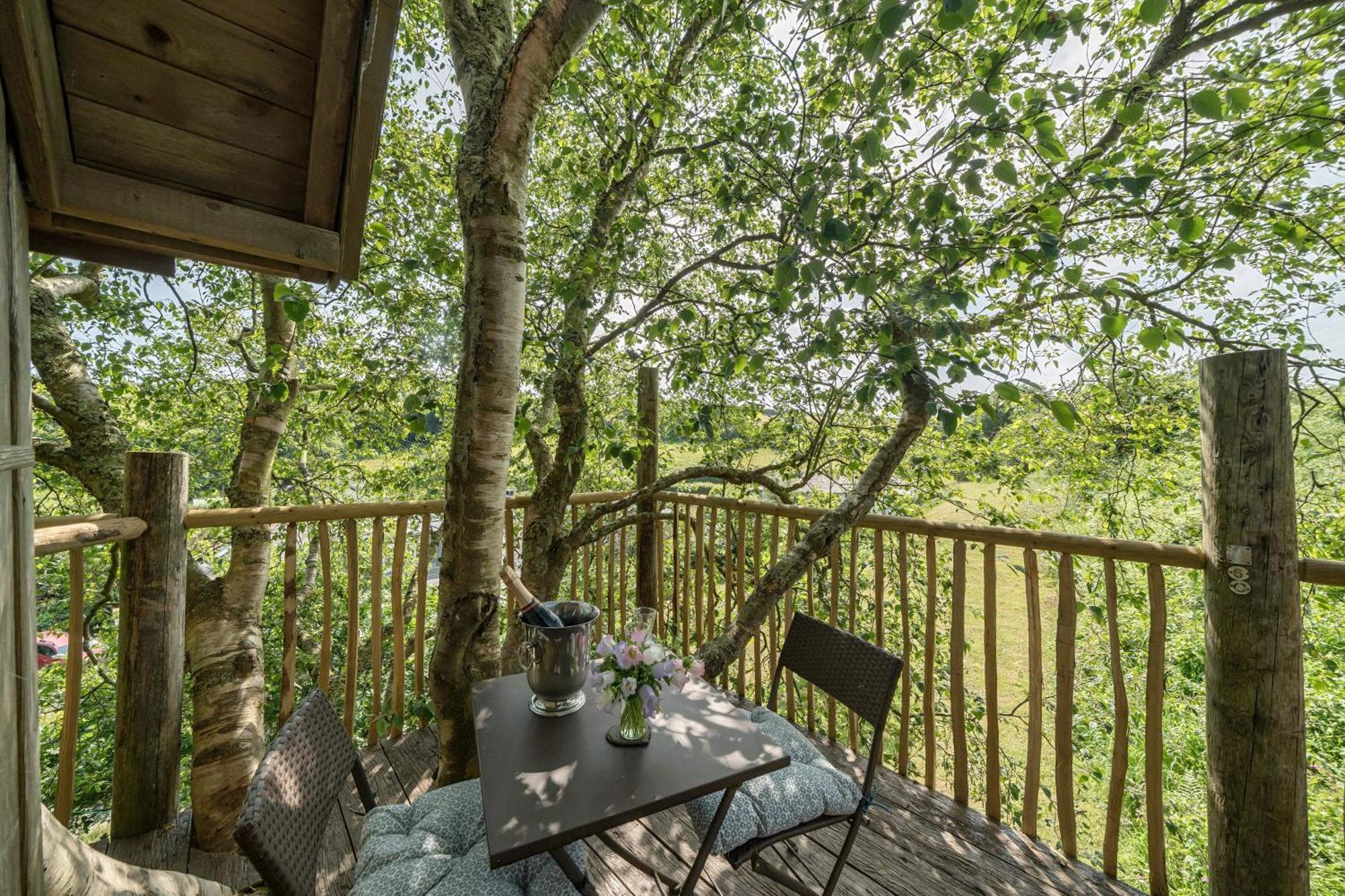 Vila The Treehouse At Salcombe Farm Exteriér fotografie