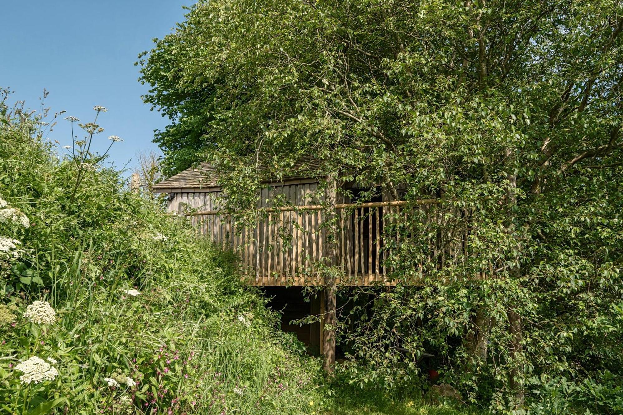Vila The Treehouse At Salcombe Farm Exteriér fotografie